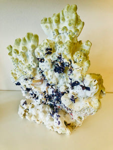 Natural Coral Reef (Purple, Green, White)