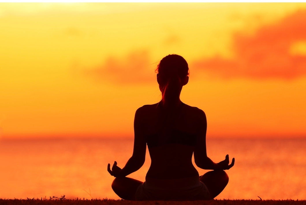 Mindfulness Meditation (30 min 1-on-1 session)