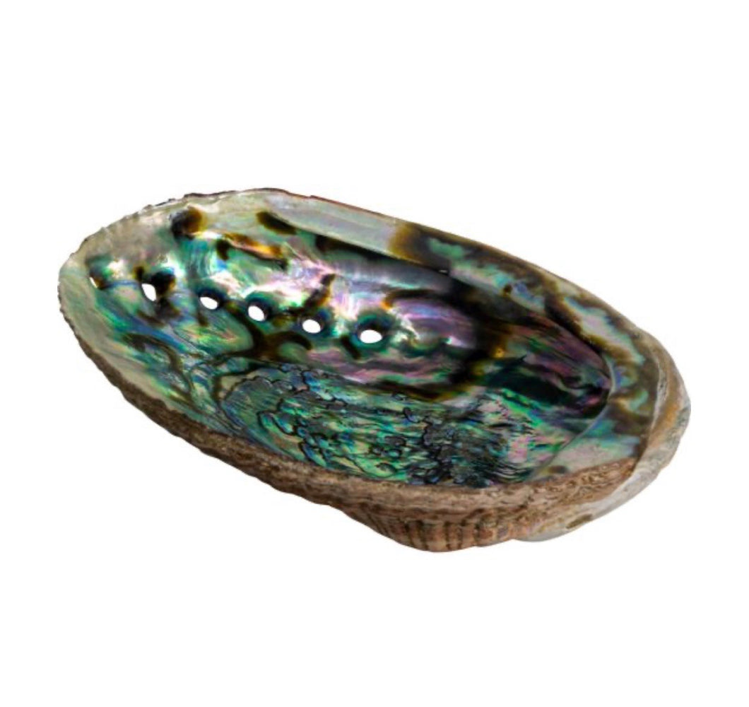 Abalone Shell (Large)